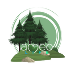 Ameo Health Blog